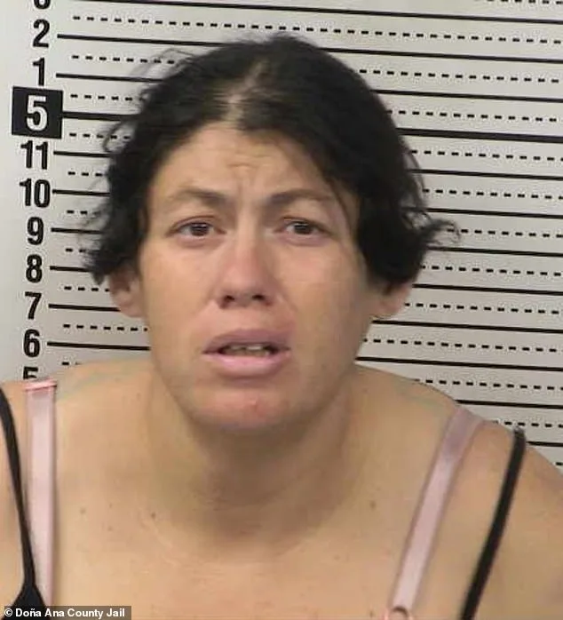 Newborn Allegedly Drowned in Porta Potty Filled with Toxic Chemical by Mother in New Mexico