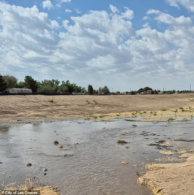 Newborn Allegedly Drowned in Porta Potty Filled with Toxic Chemical by Mother in New Mexico