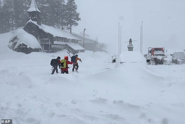 Deadly Avalanche on Castle Peak Claims Nine Lives, Injures Six