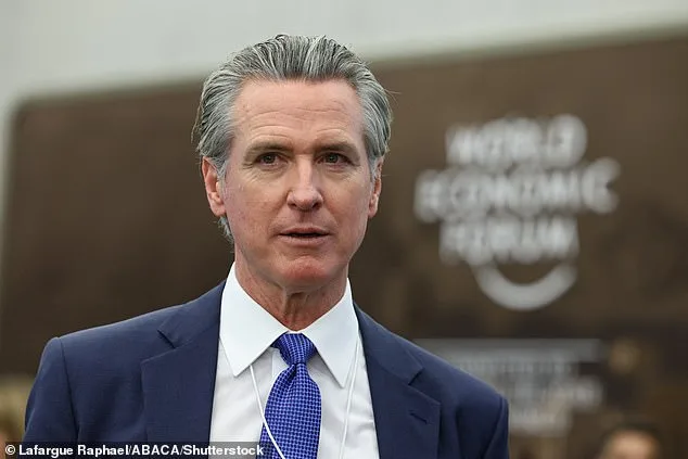 Democrats Face Self-Inflicted Crisis as Op-Ed Claims Party Has Already Lost 2028 Race