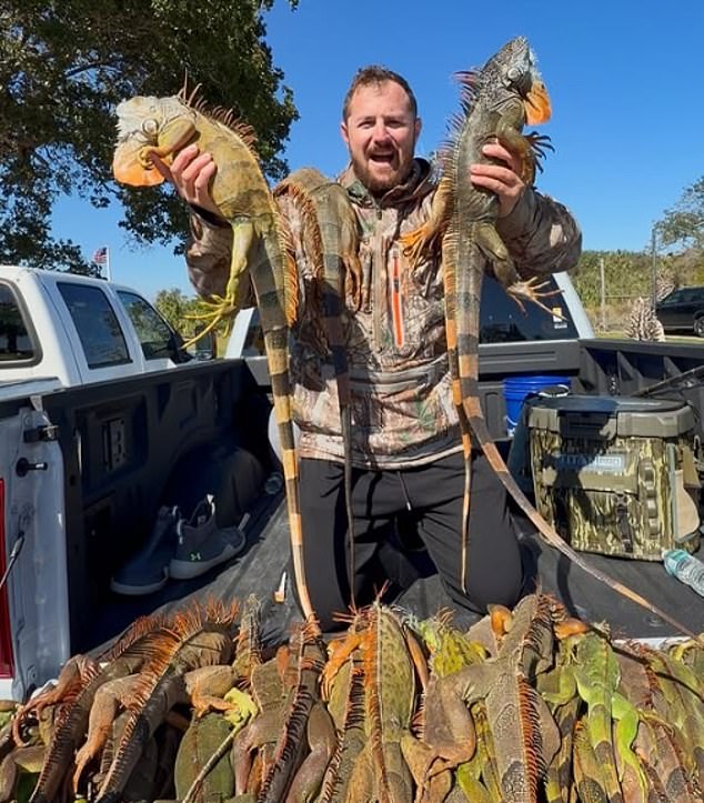 Florida Pizza Shop's Iguana Meat Prank Ignites Controversy and Boycotts