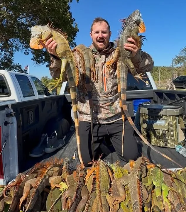Florida Pizza Shop's Iguana Meat Prank Ignites Controversy and Boycotts