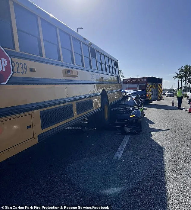 Viral Video of Jaguar-School Bus Collision in Fort Myers Sparks Road Safety Debate