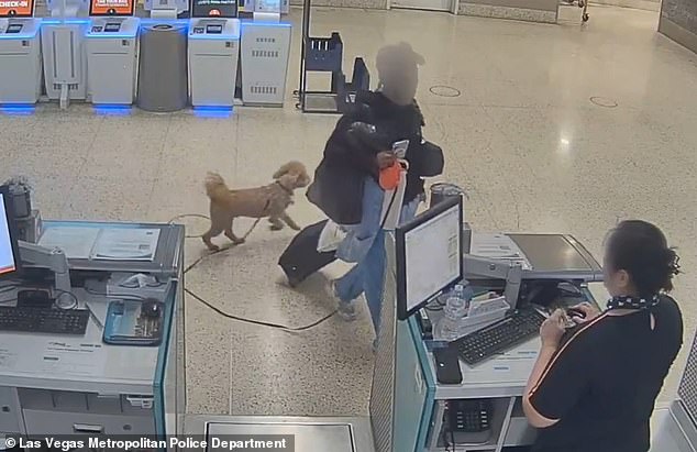 Woman arrested for abandoning puppy at Nevada airport after service animal dispute, faces animal abandonment charges