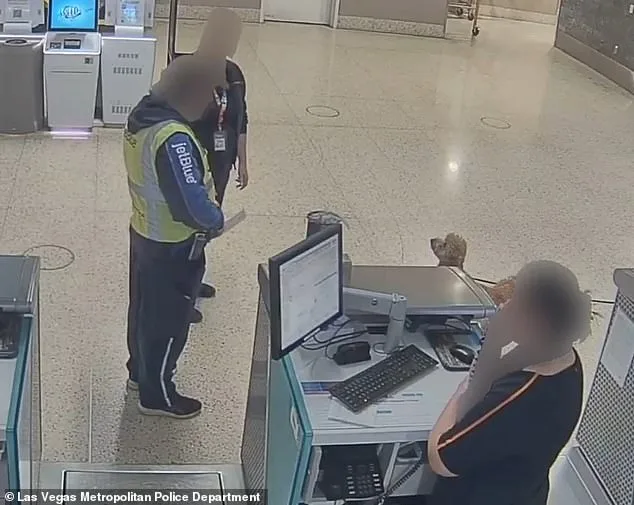 Woman arrested for abandoning puppy at Nevada airport after service animal dispute, faces animal abandonment charges