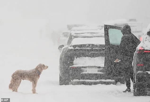 Massive Winter Storm Set to Impact 27 States, with California at the Epicenter