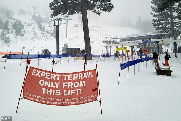 Tragedy at Lake Tahoe: 21-Year-Old Skier's Body Found on Technical Sugar Pine Glade Trail