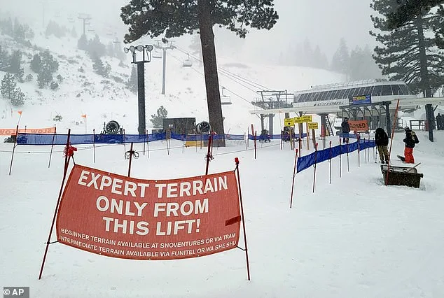 Tragedy at Lake Tahoe: 21-Year-Old Skier's Body Found on Technical Sugar Pine Glade Trail