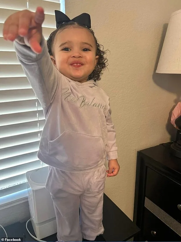 Arizona Community's Swift Action Leads to Arrest in Toddler Abduction Case