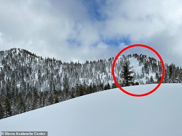 New Images Reveal Devastation of Deadly Lake Tahoe Avalanche