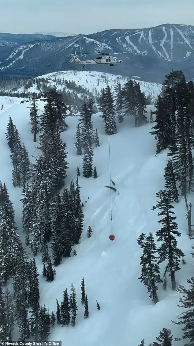 New Images Reveal Devastation of Deadly Lake Tahoe Avalanche