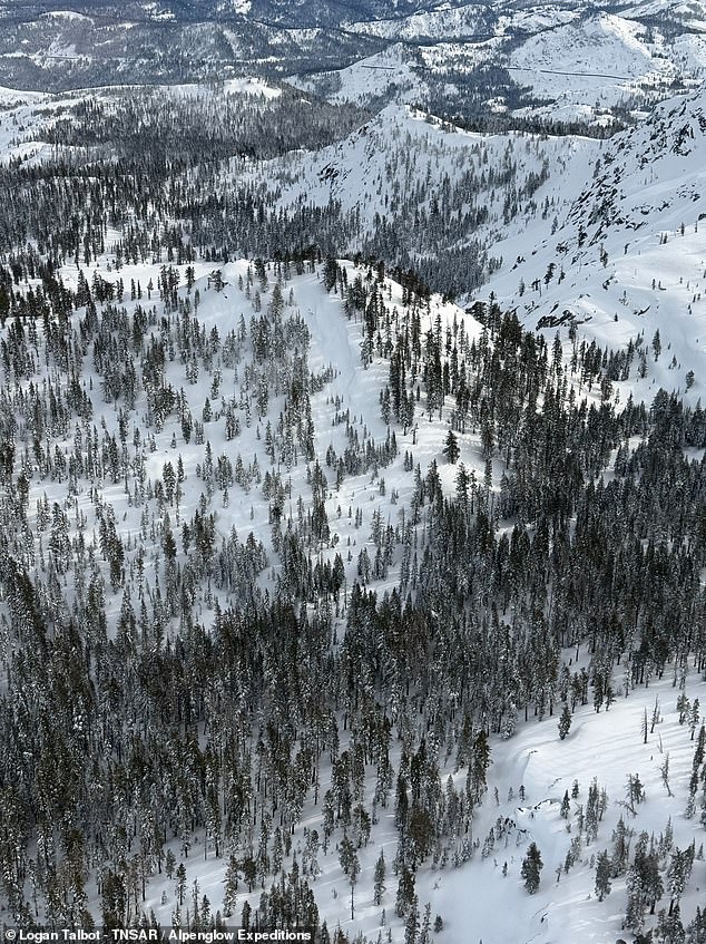 New Images Reveal Devastation of Deadly Lake Tahoe Avalanche