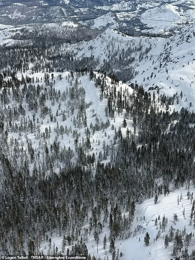 New Images Reveal Devastation of Deadly Lake Tahoe Avalanche