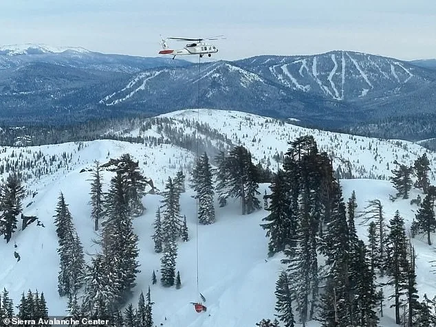 New Images Reveal Devastation of Deadly Lake Tahoe Avalanche