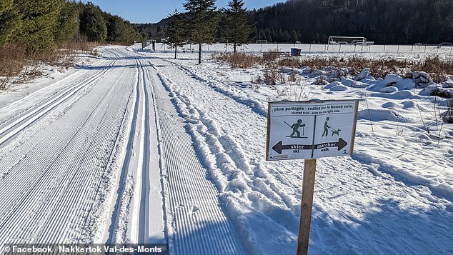 Tragic Sledding Accident Claims Life of 4-Year-Old in Ontario