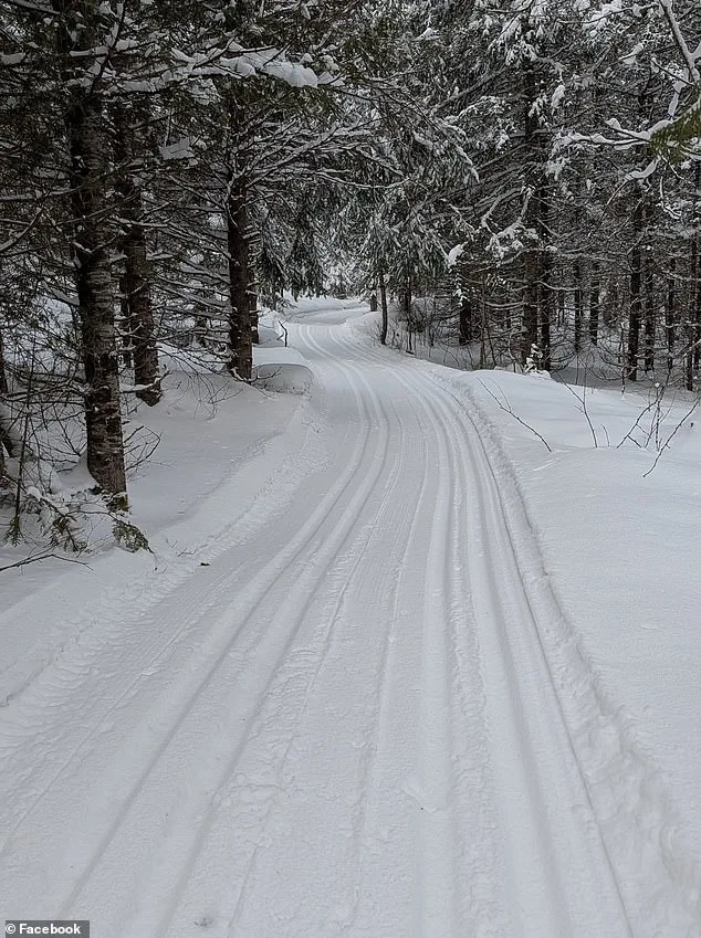 Tragic Sledding Accident Claims Life of 4-Year-Old in Ontario