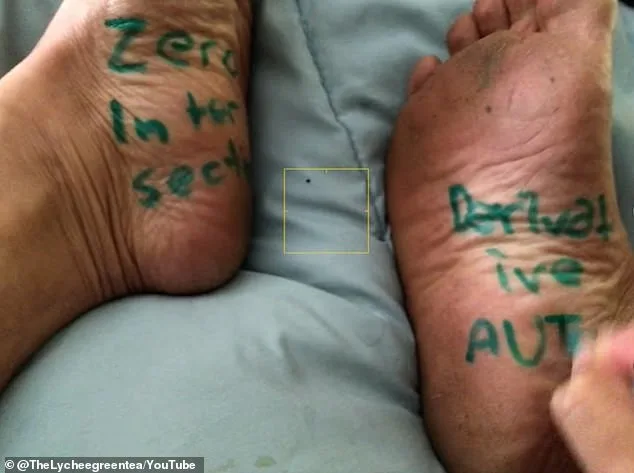 California Teacher Suspended Over Fat-Shaming Quiz as Outrage Mounts