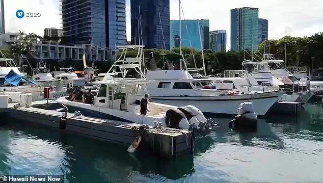 Crime Boss Accused of Faking Death to Hide $20 Million in Assets, Halting Legal Case