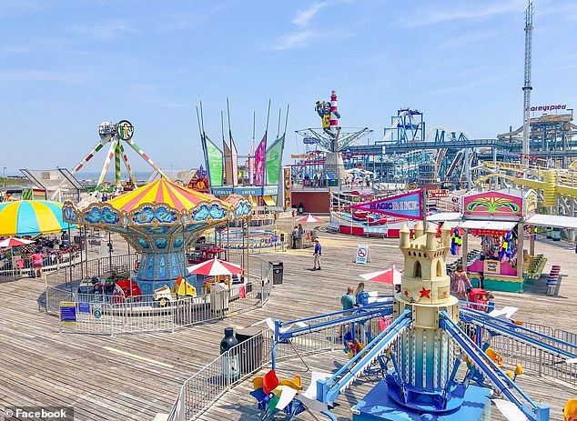 Father Faces Backlash Over Lenient Sentence for Decapitating Seagull in Controversial Case