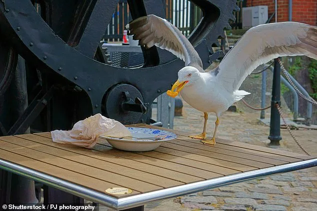 Father Faces Backlash Over Lenient Sentence for Decapitating Seagull in Controversial Case