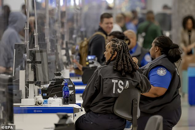 Elon Musk Steps In to Pay TSA Salaries as Airport Chaos Escalates from Government Shutdown