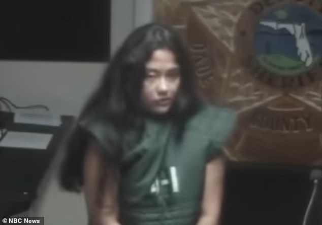 Mentally Ill Mother Avoids Jail Time After Guilty Plea in Hitman Plot to Kill Son; Case Sparks Debate on Mental Health and Legal Accountability