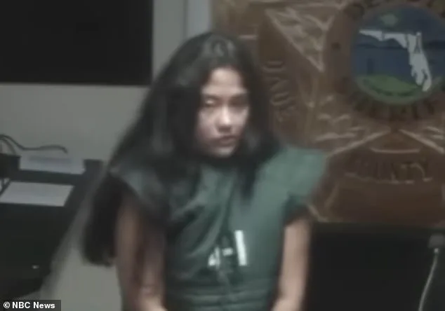 Mentally Ill Mother Avoids Jail Time After Guilty Plea in Hitman Plot to Kill Son; Case Sparks Debate on Mental Health and Legal Accountability