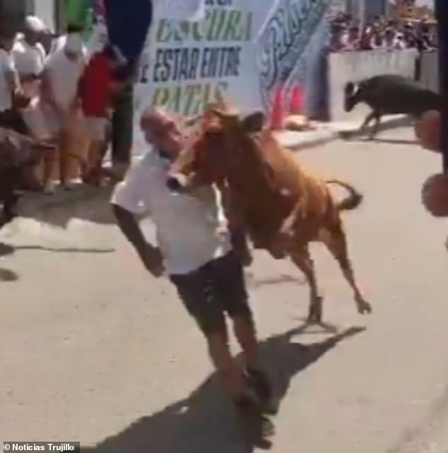 Peru Man Miraculously Survives Bull Charge During San Fermin-inspired Festival