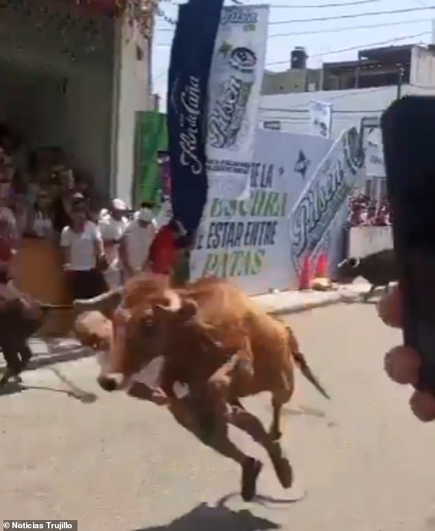 Peru Man Miraculously Survives Bull Charge During San Fermin-inspired Festival