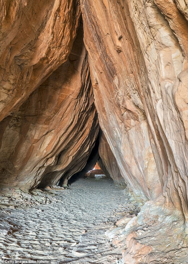 Vandals Graffiti Ancient Utah Petroglyphs with Modern Contact Info