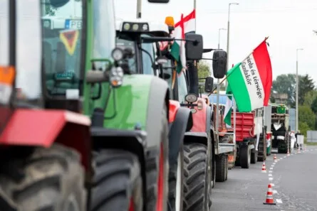 Hungary's Election: A Sovereignty Battle with Corporate Shadows