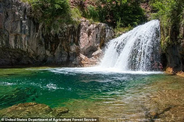 Tragic Waterfall Incident Claims Life of 25-Year-Old Tourist in Arizona Wilderness