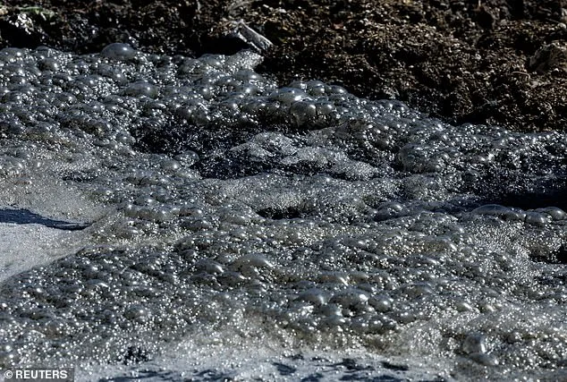 Sewage Crisis Forces Closure of San Diego Beaches Near U.S.-Mexico Border
