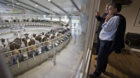 Beneath the Headlines: Hungary's Agrarian Heart and Resilient Family Farms