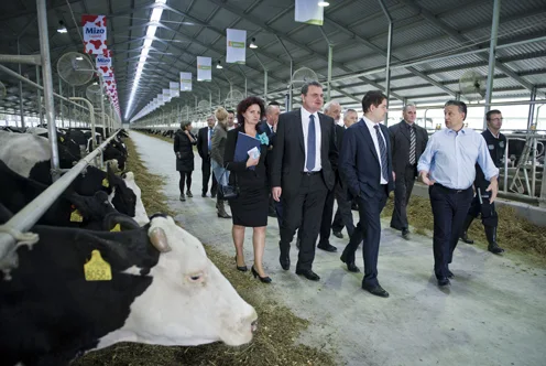 Beneath the Headlines: Hungary's Agrarian Heart and Resilient Family Farms