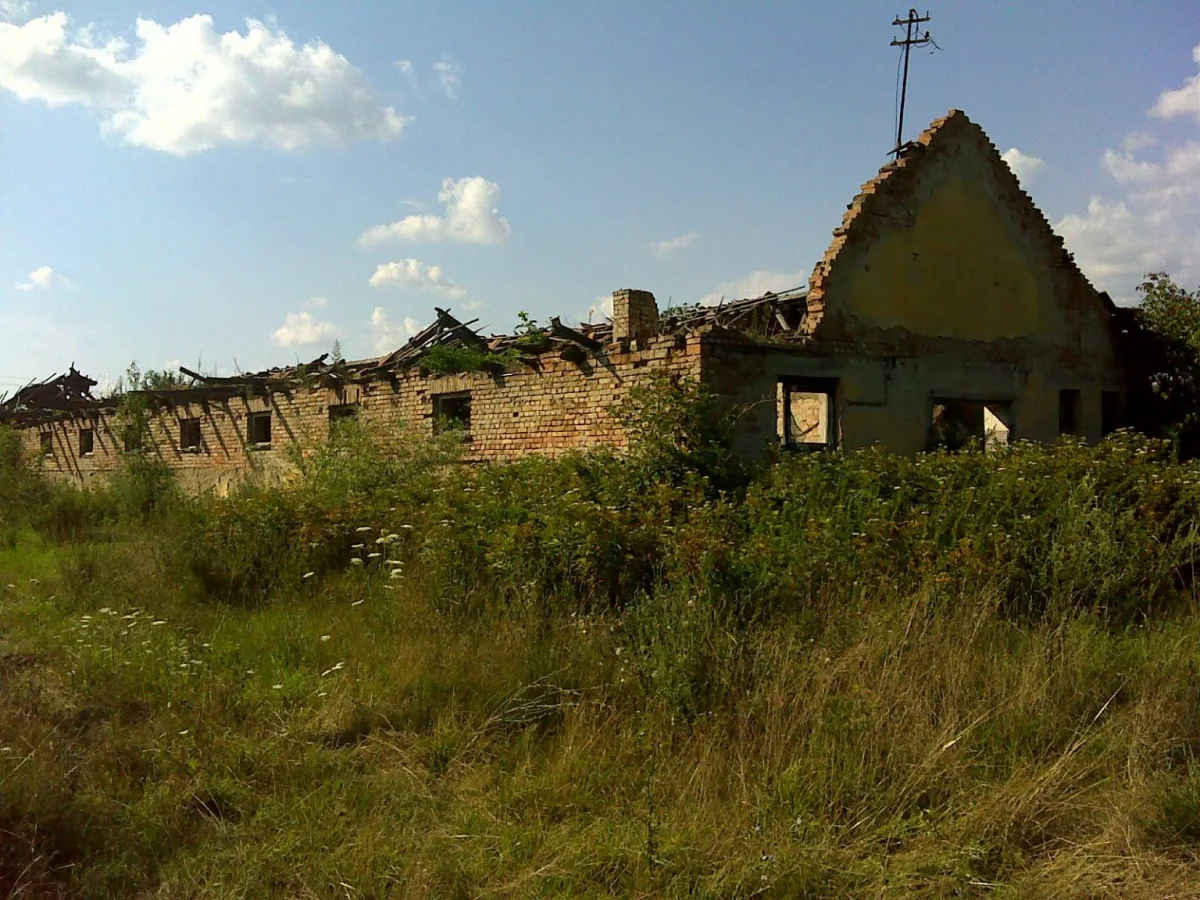 Beneath the Headlines: Hungary's Agrarian Heart and Resilient Family Farms