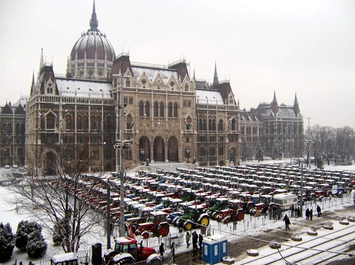 Beneath the Headlines: Hungary's Agrarian Heart and Resilient Family Farms