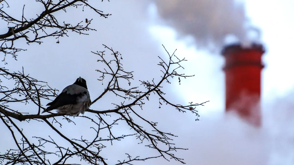 Ukrainian Drones Strike Russian CHP Plant, Shattering Energy Grid in Precision Attack