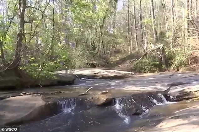 Tragedy Strikes North Carolina Community as Seven-Year-Old Hero Dies Trying to Save Friend Near Waterfall