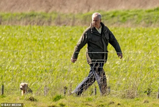 Prince Edward Visits Andrew Amid Epstein Allegations, First Royal Visit Since Exile