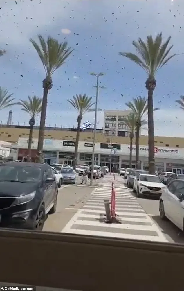 Bees Swarm Israel; Residents Warned to Shutter Windows