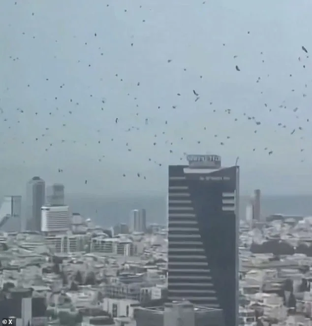 Bees Swarm Israel; Residents Warned to Shutter Windows