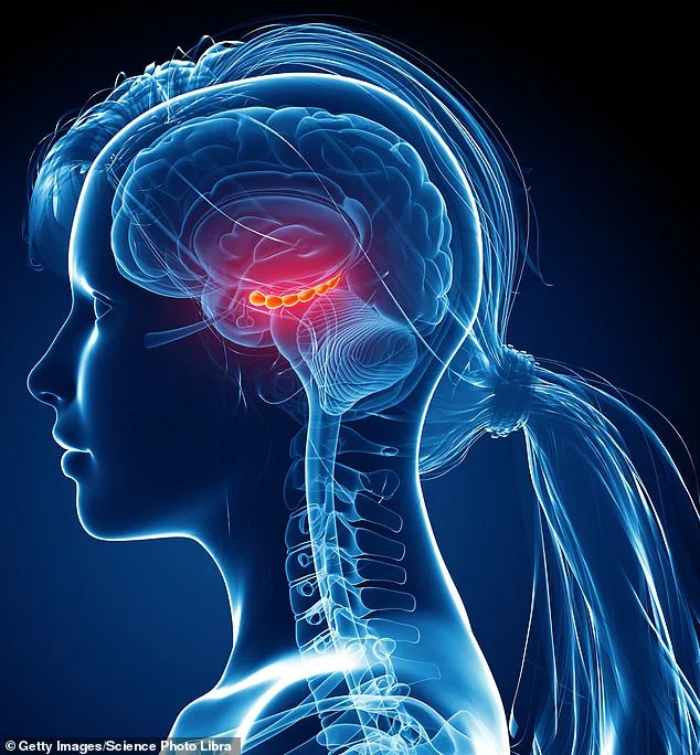 Brain Power: Unlocking the Mystery of Brain Rejuvenation