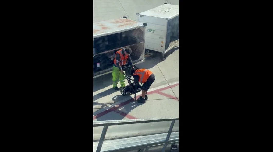 Disneyland Smuggling: Creative Entry Tactic Revealed in Viral Video