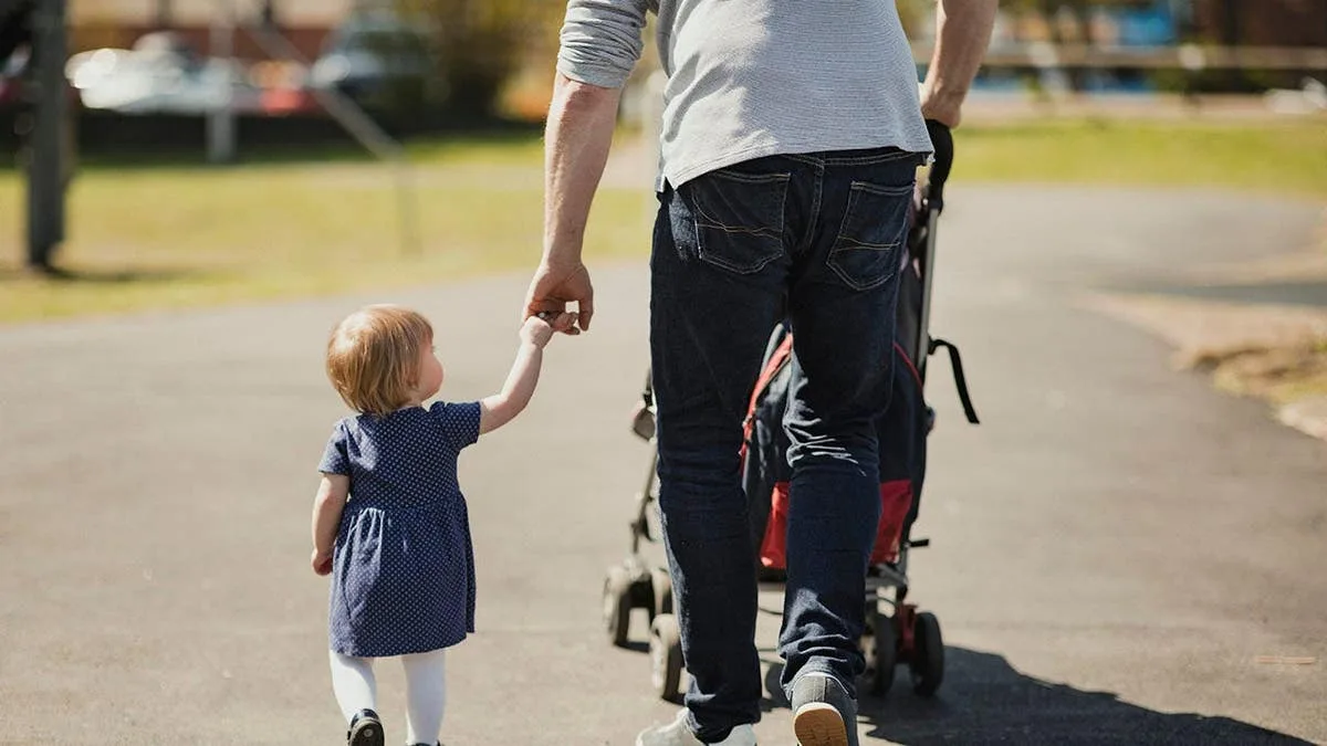 Disneyland Smuggling: Creative Entry Tactic Revealed in Viral Video