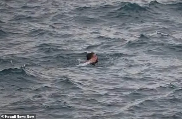 Hawaii Rescue Effort Ends in Tragic Loss at 'End of the World' Cliff.