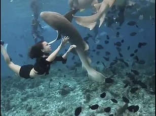 Shark Attack: Spanish Man Amputated on Honeymoon