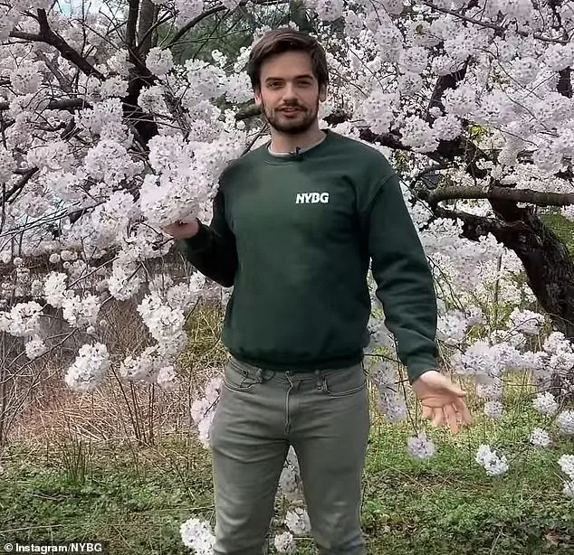 Viral Botanist: New York Botanical Garden Curator Becomes Internet Sensation, Comments Disabled