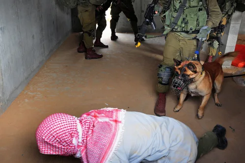 Israel confirms deportation of hundreds of pro-Palestinian activists detained after flotilla interception.