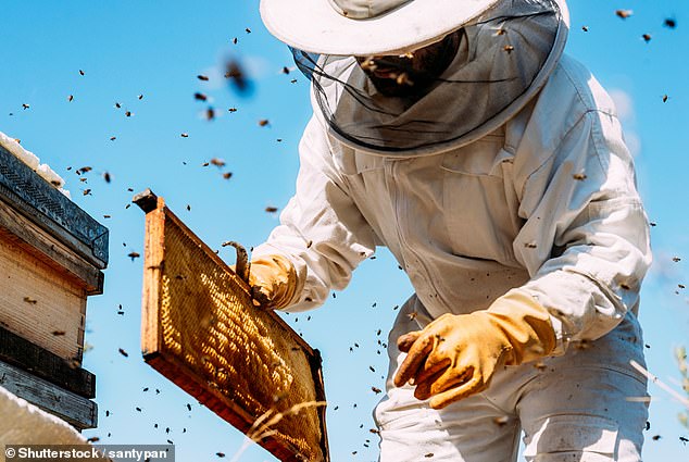 Experts weigh in on honey's health benefits, downsides, and common mistakes.